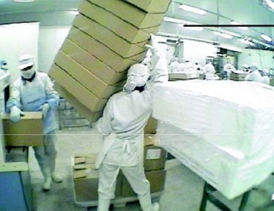 industria salmon (46)  ALIMENTOS MERCADO